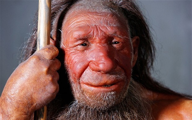 neanderthal_1804257b
